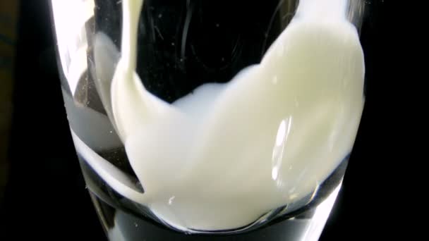 Verter leche en el vaso sobre fondo negro — Vídeo de stock