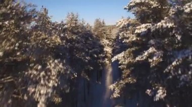 Karla kaplı orman güzel havadan görünümü