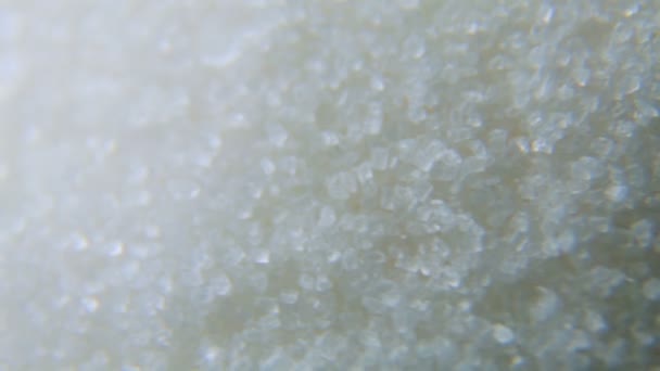 Close-up shot van witte raffinaderij suiker. — Stockvideo