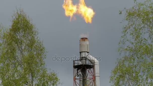 Antorcha ardiente en la refinería entre los árboles — Vídeos de Stock