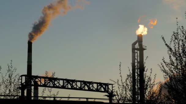 Палаючий факел на нафтопереробному заводі серед дерев — стокове відео