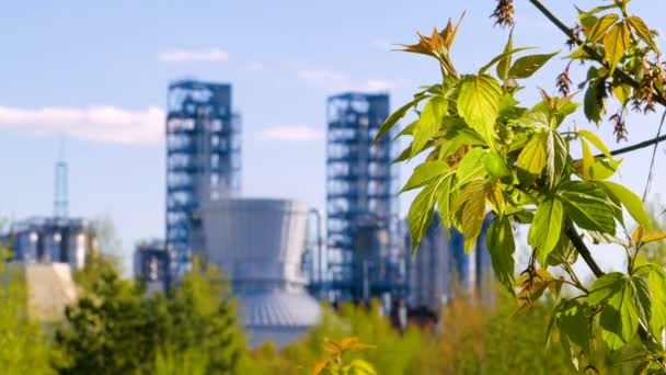 Ramo com folhas verdes na refinaria de óleo de fundo. Indústria e ambiente em conjunto — Vídeo de Stock