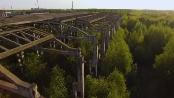 Nedokončené, opuštěné budovy zarostlá stromy. konceptuální pozadí — Stock video