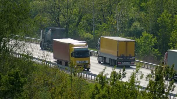 Багато легкових та вантажних автомобілів їзді по шосе серед дерев — стокове відео