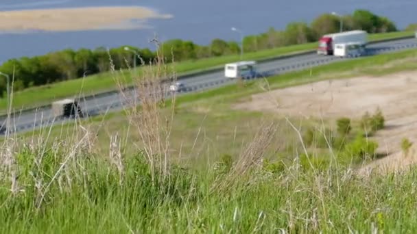 Vajande gräs i bakgrunden av motorvägen — Stockvideo