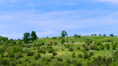 Manzara ağaçlar ve kayan bulutları ile yeşil alan. Timelapse
