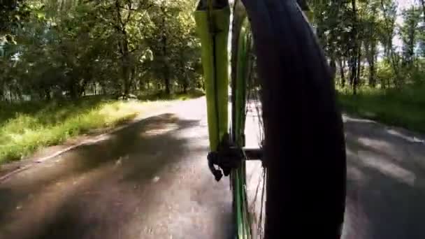 Nahaufnahme des Fahrradfahrens entlang des Weges im Park. Blick vom Vorderrad — Stockvideo
