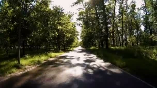 Närbild på cykel ridning längs banan i parken. Visa från framhjul — Stockvideo