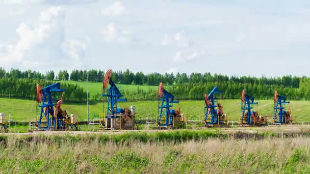 Arbetar oljepumpar på plats bland de gröna fälten. Timelapse — Stockvideo