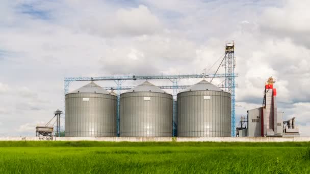 Agrarische Silo, voorgrond zonnebloem plantages - gebouw exterieur, opslag en drogen van granen, tarwe, maïs, soja, zonnebloem tegen de blauwe hemel met witte wolken — Stockvideo