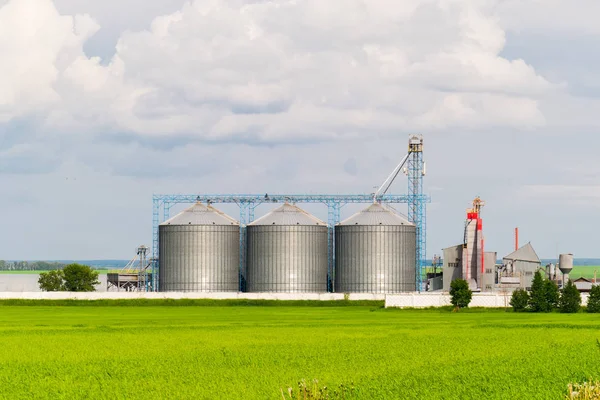 Tarım Silo, ön plan ayçiçeği tarlaları - Bina dış cephe, depolama ve kurutma, tahıl, buğday, Mısır, soya, ayçiçeği beyaz bulutlar ile mavi gökyüzüne karşı
