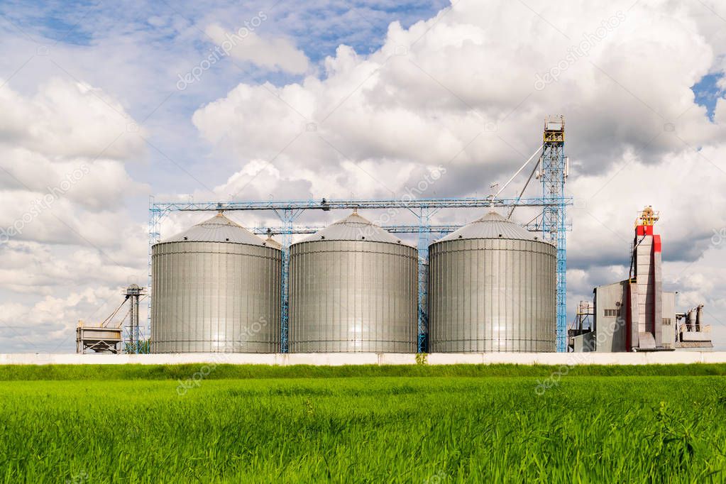 Agricultural Silo, foreground sunflower plantations - Building Exterior, Storage and drying of grains, wheat, corn, soy, sunflower against the blue sky with white clouds