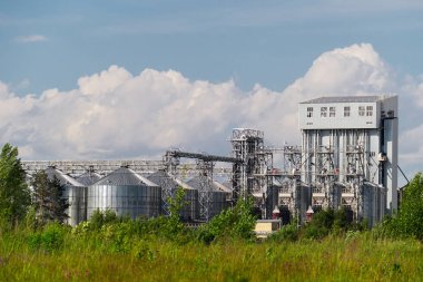 bitki metal tank ve boru ormanıyla çevrili ile ev Kimyasalları