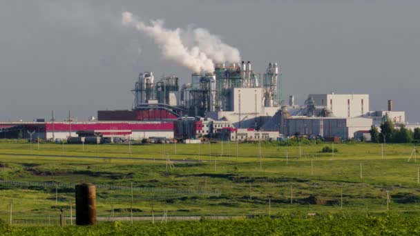 Une énorme usine de béton avec des tuyaux parmi les champs — Video