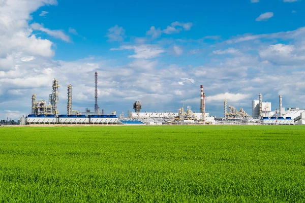 Fertilizante vegetal en un prado verde — Foto de Stock