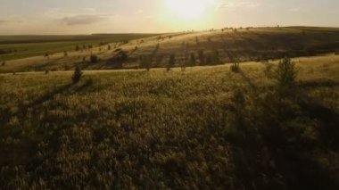 bir peyzaj Hills batımında güzel havadan görünümü
