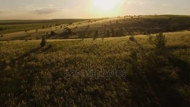 Schöne Luftaufnahme einer Landschaft mit Hügeln bei Sonnenuntergang — Stockvideo