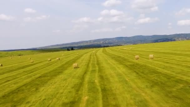 Hooibalen op de groene velden in de heuvels van de achtergrond. Luchtfoto — Stockvideo