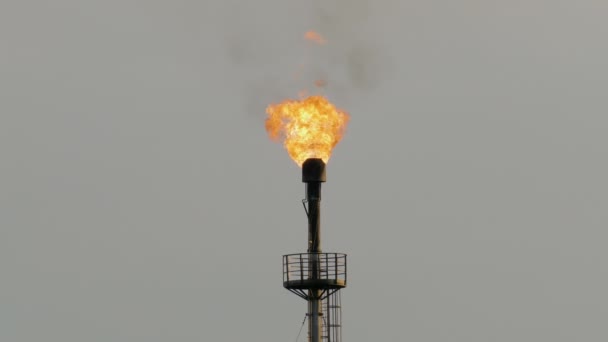 Antorcha ardiente en la refinería contra el cielo gris — Vídeos de Stock