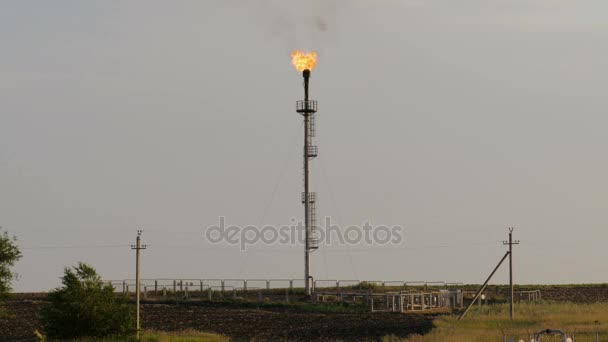 Torcia accesa presso l'impianto per la lavorazione del petrolio e del gas tra i campi — Video Stock