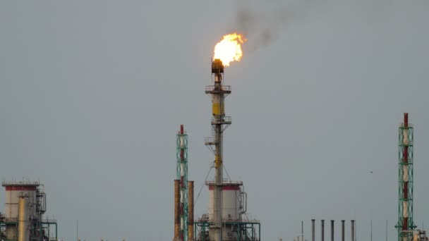 Горящий факел на нефтеперерабатывающем заводе против серого неба — стоковое видео