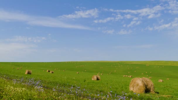 Balles de foin sur herbe verte contre un ciel bleu 