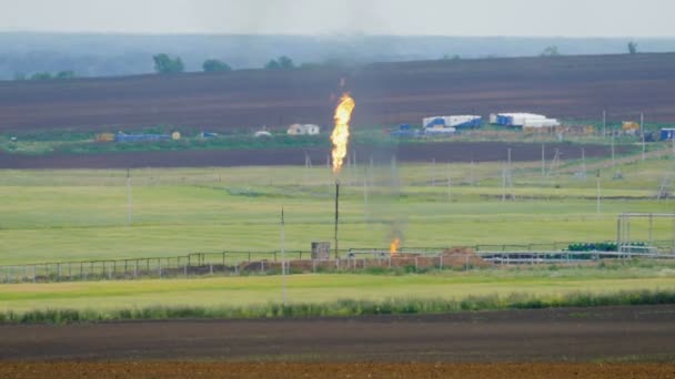 Quema de la antorcha en la planta para el procesamiento de petróleo y gas entre los campos — Vídeos de Stock