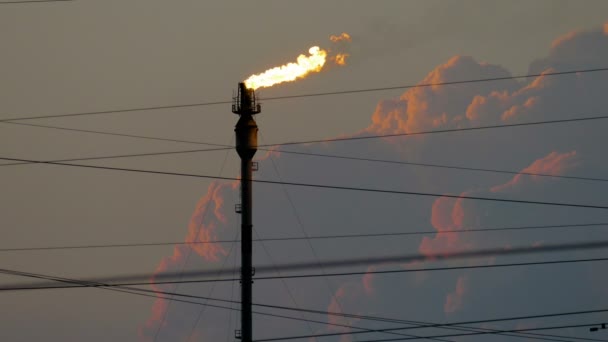 熊熊燃烧的火炬，在多云的天空对炼油厂 — 图库视频影像