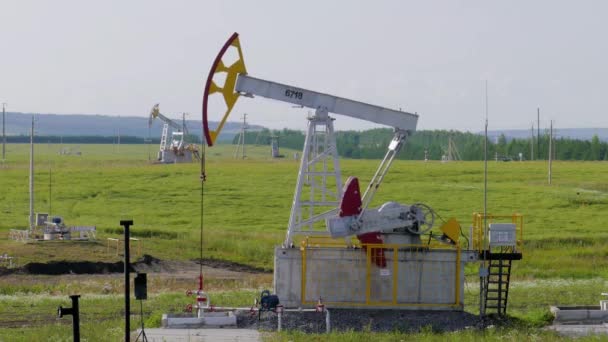 Bomba de aceite de trabajo en el suelo entre los campos verdes — Vídeos de Stock