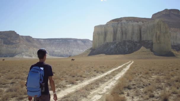 Un joven viajero camina por un sendero en una zona montañosa — Vídeo de stock