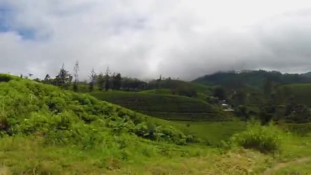 Thee plantage landschap in Sri Lanka. Uitzicht vanaf een passerende trein — Stockvideo