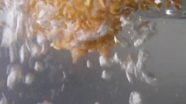 Polba taneleri kaynar su içine düşer. Makro