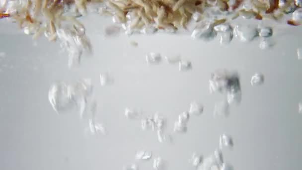 Bruine en rode rijst graan valt in kokend water. Macro weergave — Stockvideo