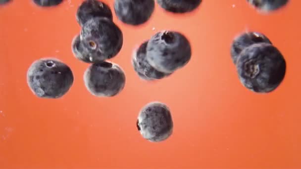 美味的蓝莓被洒在橙色背景的水中。宏视图 — 图库视频影像