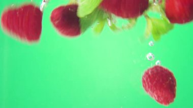 Ahududu ve nane yeşil arka plan üzerinde düşen suya. Makro görünümü