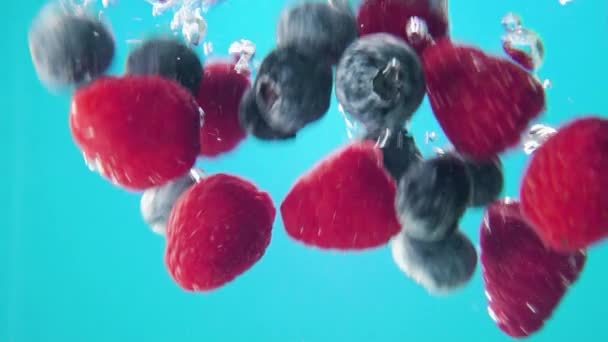 Mirtilos e framboesas sendo polvilhados em água sobre fundo azul. Vista macro — Vídeo de Stock
