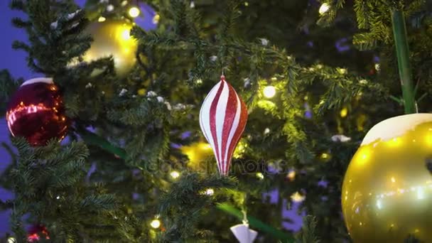 Julgran leksak vänder på en trädgren — Stockvideo