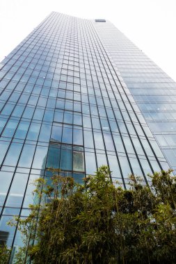 Shanghai, Çin - 15 Ocak 2018: bir yüksek cam gökdelen içinde bulutlar yansıtılır. Yakınlarda ağaçları bulunmaktadır