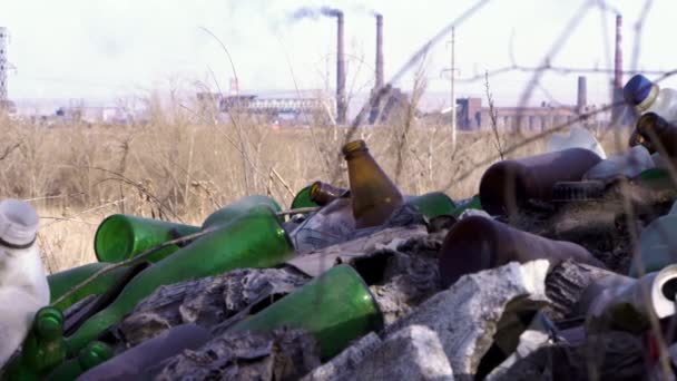 Müll im Wald. Ökologie des Waldes. Verschmutzung der Natur — Stockvideo