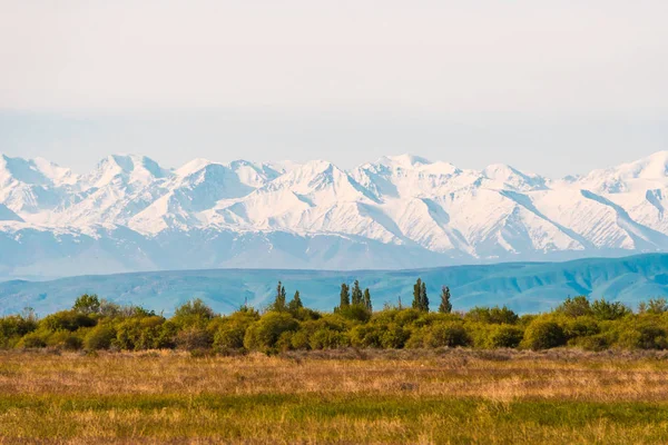 Panorama de un hermoso paisaje con árboles y campos en primer plano y cadenas montañosas con nevadas en el fondo. Kazajstán — Foto de Stock