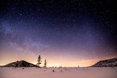 night landscape wtih star sky.