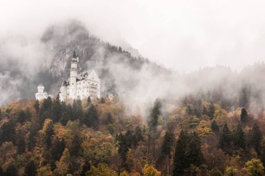 Neuschwanstein şatosu ve arka planda dağlar olan kış manzarası, Hohenschwangau, Bavyera, Almanya