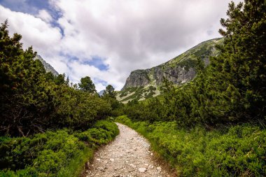 Slovak Tatralarının doğası