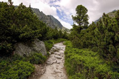 Slovak Tatralarının doğası