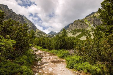 Slovak Tatralarının doğası