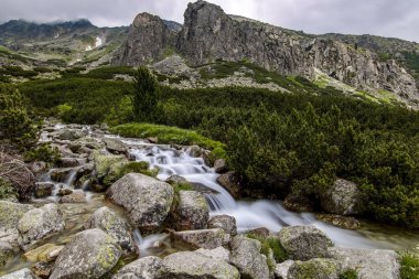 Dağ deresi. Slovakya 'daki Ulusal Park High Tatras' ta bir dağ deresi manzarası.