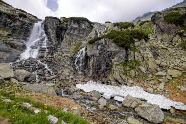 Dağ deresi. Slovakya 'daki Ulusal Park High Tatras' ta bir dağ deresi manzarası.