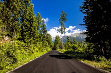 Yüksek Tatra Dağları 'ndaki dağ yolu