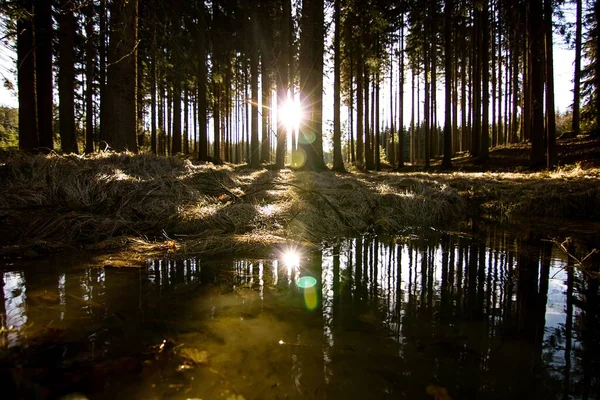 Pôr Sol Sobre Lago Floresta — Fotografia de Stock