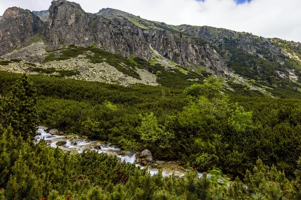 Blick Auf Die Natur Der Slowakischen Tatra — Stockfoto